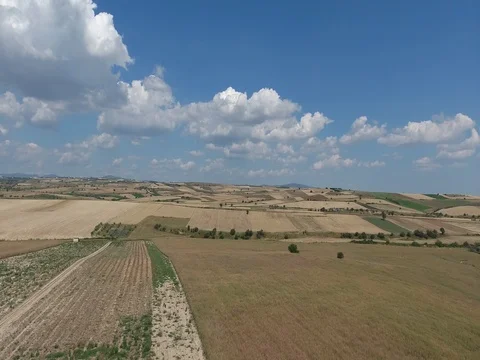 FLY OVER FIELDS IN THE COUNTRYSIDE_B1 Stock Footage 79832672