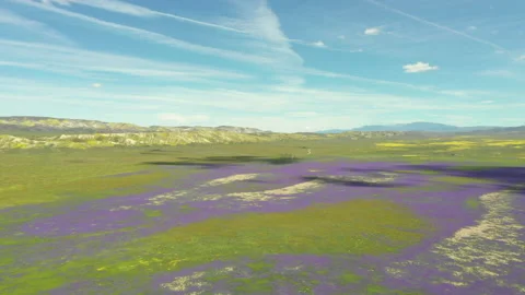 Fly Over Fields Of flowers Stock Footage 130938767