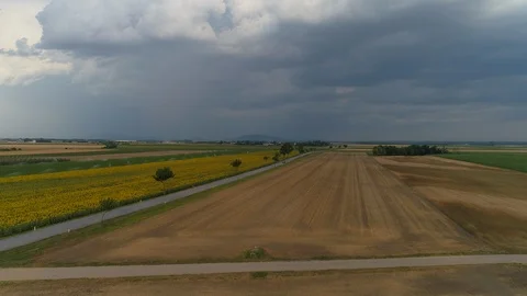 Fly over fields with sunflowers 스톡 동영상 92115454