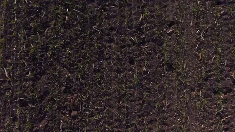 Fly over the filed Video stock 69971509