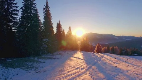 Fly Over the fir trees at dawn in the winter mountains Video stock 101344233