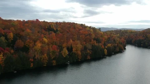 Fly over the forest and lake in autumn  Stock Footage 179018908