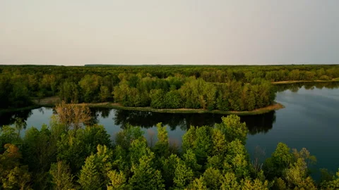 Fly over a forest and a lake with a golden sunset in Milton, ontario, canada Stock Footage 242796899