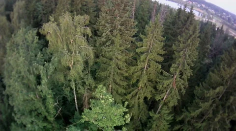 Fly over forest and road Stock Footage 1029584