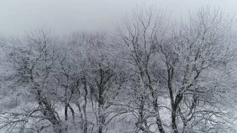 Fly over the forest on a cold, cloudy day Stock Footage 153439614