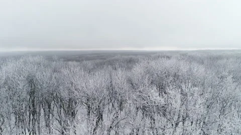 Fly over the forest on a cold day Stock Footage 153452964