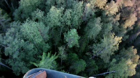 Fly over forest Stock Footage 823117