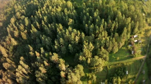 Fly over forest Stock Footage 826946
