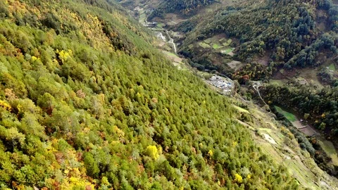 Fly over forest Video stock 122161695