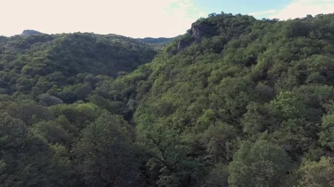 Fly Over Forest Stock Footage 146555807