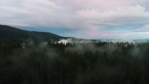 Fly over forest with low clouds. hills around and city at horizon in the morning Stock Footage 157395967