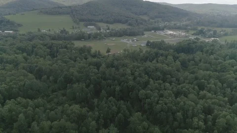 Fly over the forest of Pennsylvania Video stock 122019944