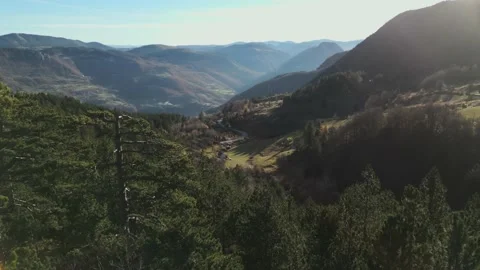 Fly over forest in valley with meadow in Montenegro Stock Footage 232273760