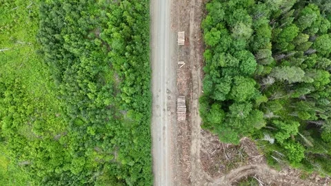 Fly-over of Forestry Operations in New Brunswick, Canada Stock Footage 338341539