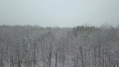 Fly over frozen forest on cloudy day Stock Footage 166517146