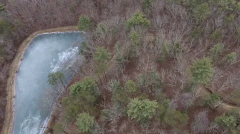 Fly over frozen pond in a forest Video stock 59706019