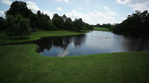 Fly over Geese on Pond 2 Stock Footage 57368284