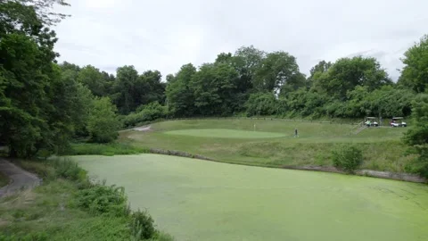 Fly over golf course lake moss, aerial drone Stock Footage 201311197