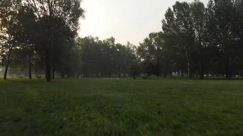 Fly over grass at Bundek park, Zagreb, Croatia Stock Footage 115569891
