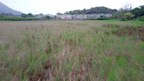 Fly over grass Hong Kong rural Aerial Drone shot Stock Footage 171792607