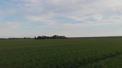 Fly over a grassland Stock Footage 150911992