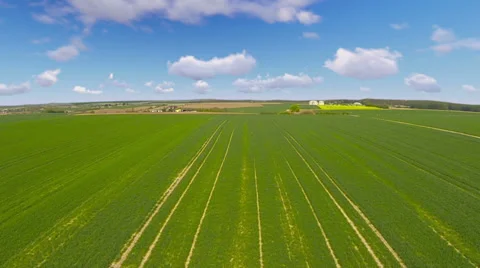 Fly over green field Stock Footage 37047005