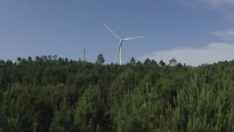 Fly over a green forest above the treetops beautiful natural landscape Stock Footage 255724165