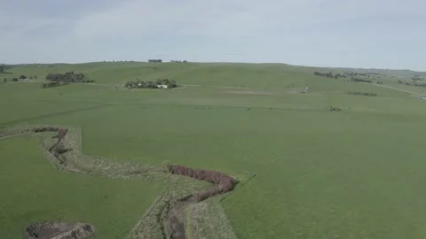 Fly over green hills of farm land in the evening. Stock Footage
