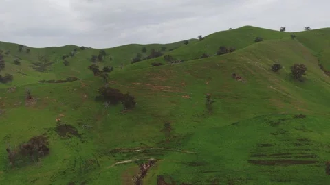 Fly Over The Green Hills Stock-Footage 335602667