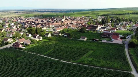 Fly over green vineyard, small Alsatian village seen ahead, scenic aerial shot 스톡 동영상 140057975
