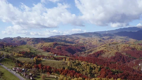 Fly over high hils with orange and red trees in the area of the 動画素材 172347916