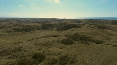 Fly over horses dunes wide out Stock Footage 305480843