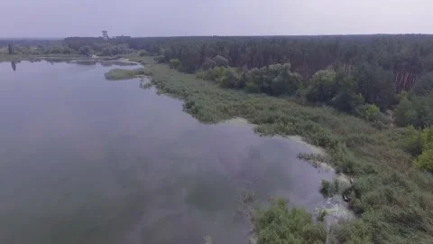 Fly over the lake and forest. Landscape Video stock 159509324