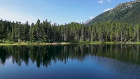 Fly over Lake and Tree Tops in Mountain Video stock 266293299