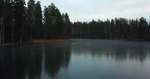 Fly over the lake in a forest Stock Footage 175380510