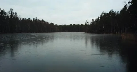 Fly over the lake in a forest Stock Footage 175381385
