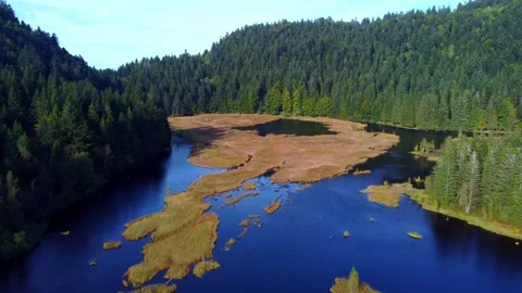 Fly over Lake Lispach (drone) Stock Footage 162901779