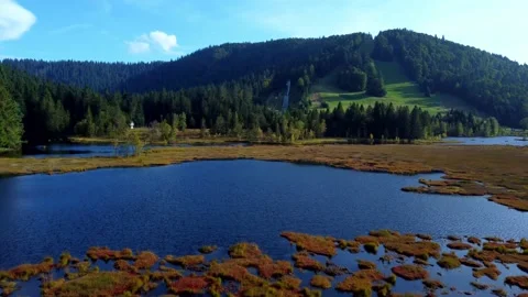 Fly over Lake Lispach (drone) Stock Footage 162901802