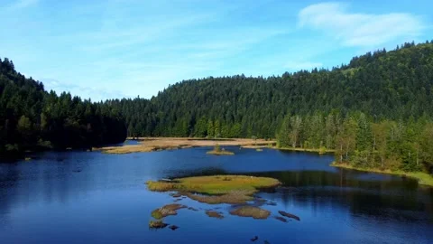 Fly over Lake Lispach (drone) Stock Footage 162902077