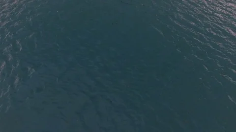 Fly over lakes, look down angle, tilting up Stock Footage 84026463