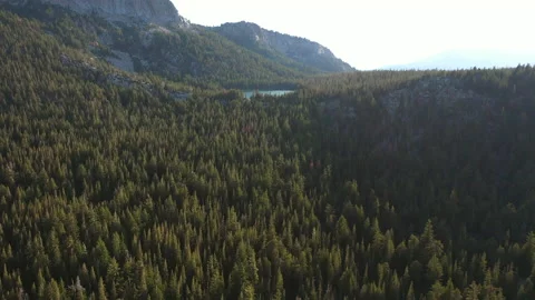 Fly over lush forest towards a lake on the mountain Stock Footage 142961728