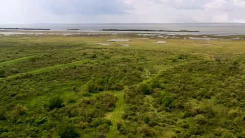 Fly over marshland looking at East Bay Stock Footage 204825548