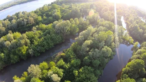 Fly over the meadows and trees on a sunny day Stock Footage 89454471