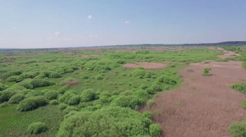 Fly over a meandering river and a riparian zone Video stock 63852428
