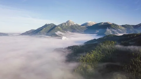 Fly over misty forest mountains Hyper lapse Stock Footage 104246835