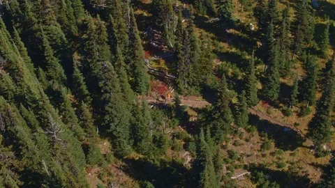 Fly Over Mountain Forest from Bird's Eye View 動画素材 82636075