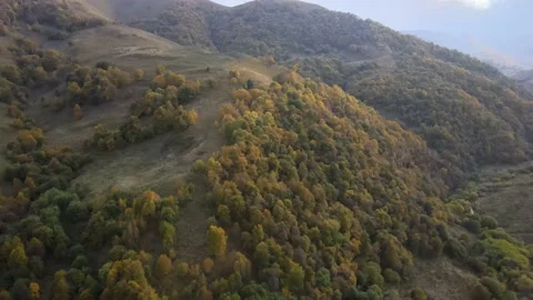 Fly over mountain peaks covered with bushes and forest in autumn. Stock Footage 145803551