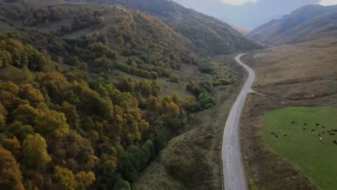 Fly over mountain peaks covered with bushes and forest in autumn. Stock Footage 145803557
