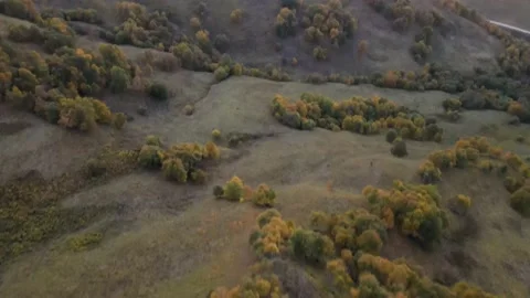 Fly over mountain peaks covered with bushes and forest in autumn. Stock Footage 145803563