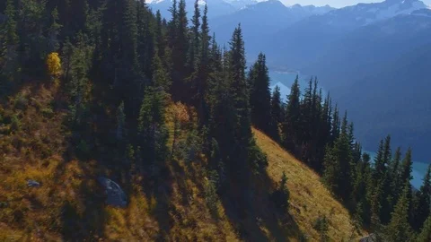 Fly Over Mountain-side Trees Lens Flare Pan up to Alpine Lake in Background Stock Footage 82632549